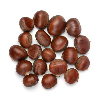 Various sizes of Fresh Chinese Chestnuts
