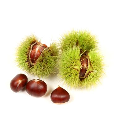 Fresh Chinese Chestnuts