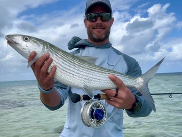 Large Hawaiian bonefish