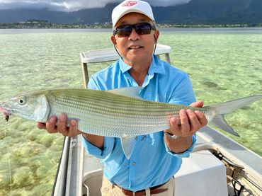 Large Hawaiian bonefish
