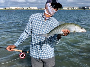 Hawaiian bonefish