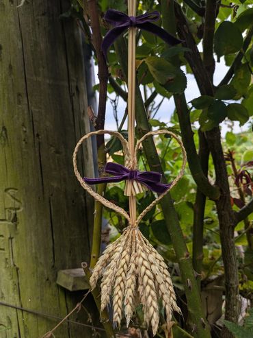 Seven Strand Plait Heart Shaped Harvest Trophy, £25