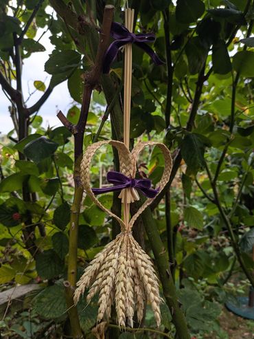 Seven Strand Plait Heart Shaped Harvest Trophy, £25