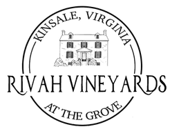 ​​​Rivah Vineyards at the Grove