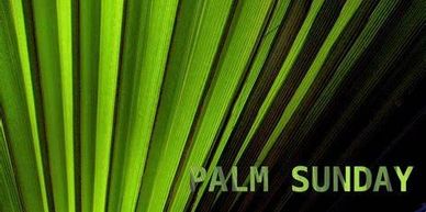 Close-up of a green palm leaf with 'Palm Sunday' text.