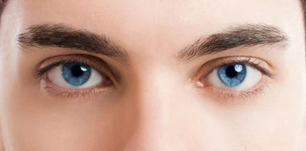 Eyes see and perceive our reality.