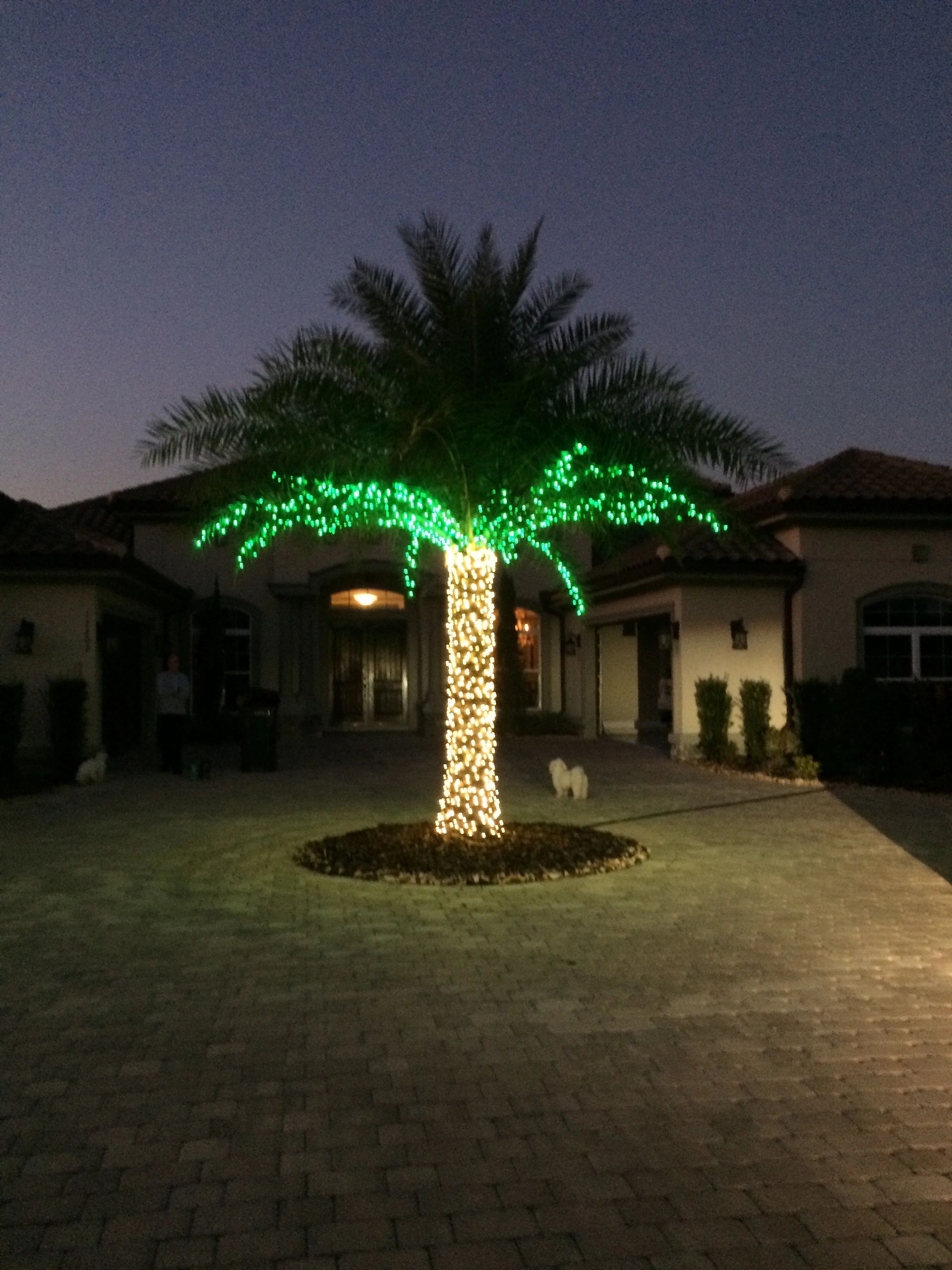 HANG MY CHRISTMAS LIGHTS FLORIDA  Home