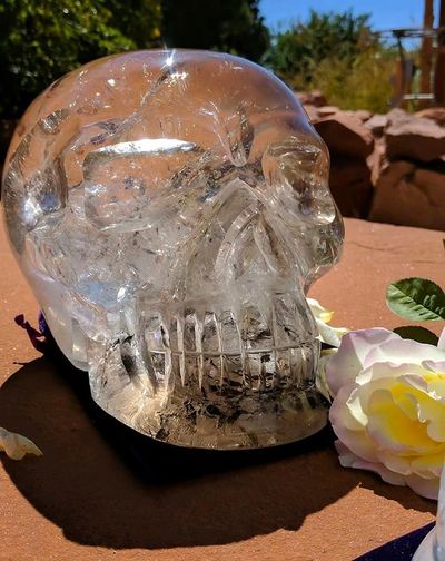 Meet Condor, this beautiful skull has been energized by the amazing Ancient Crystal Skull, Einstein.