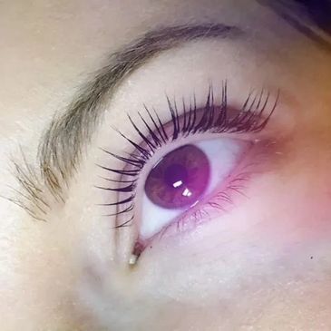Pensacola lash lift and tint lash lift gulf breeze lashes