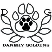 Danehy Goldens