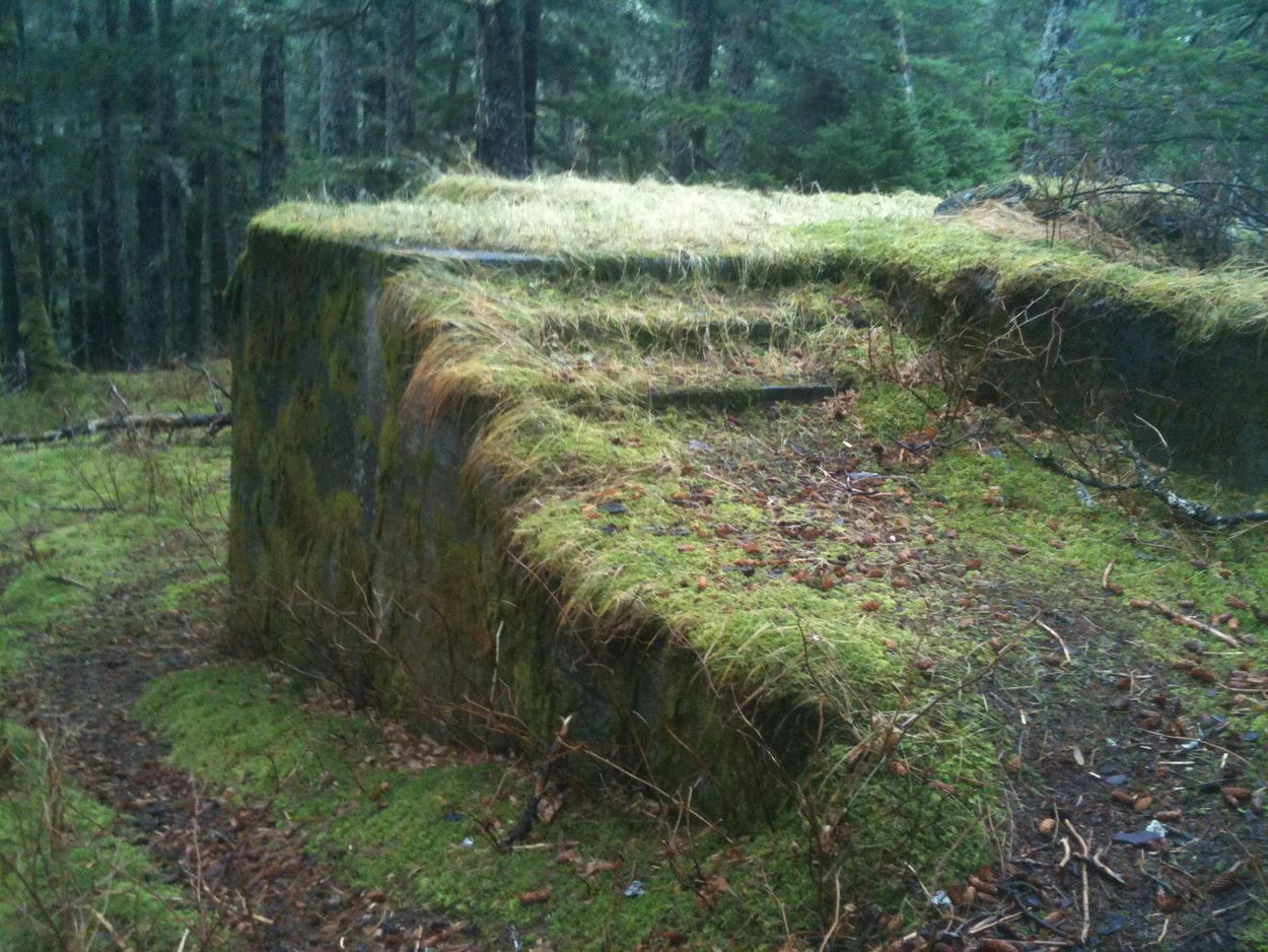 Moss covered remnants of World War II structure in Fort Abercrombie State Park