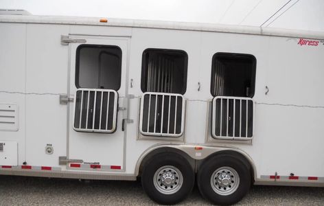 We try to accommodate immediate needs. Email circle.bb@hotmail.com OR CALL (270) 763-2990.