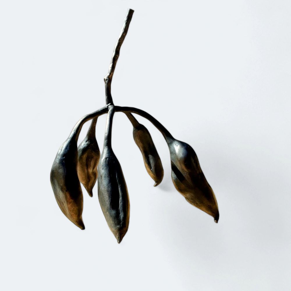 Kurrajong bronze 40 cm