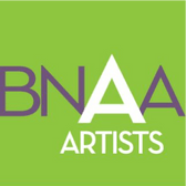 Buffalo Niagara Art Association