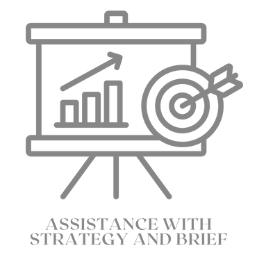 assistance with strategy and brief