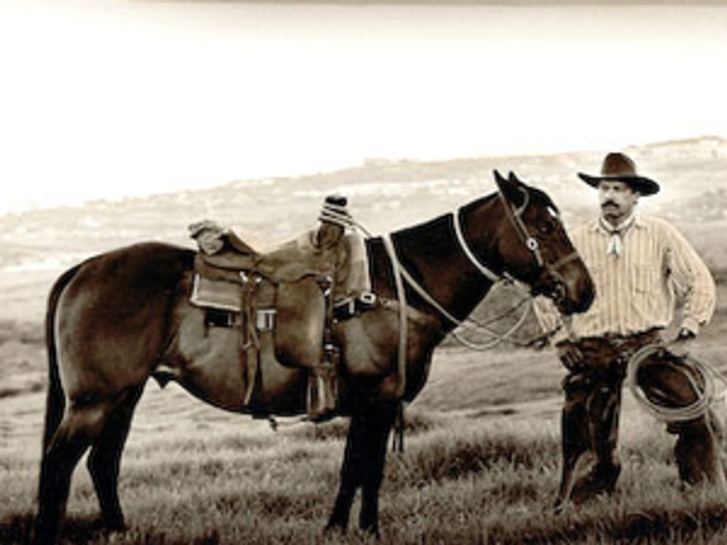 Paniolo And His Horse