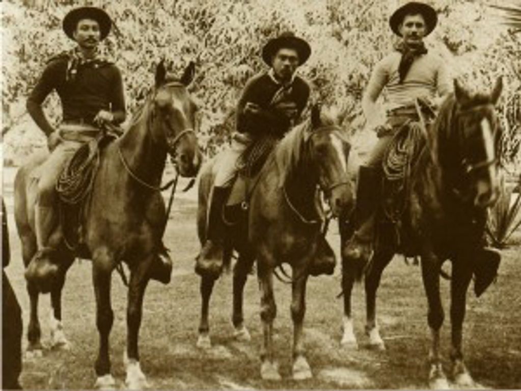 Paniolos