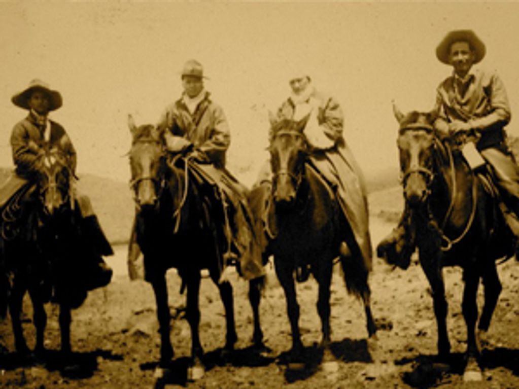 Paniolos