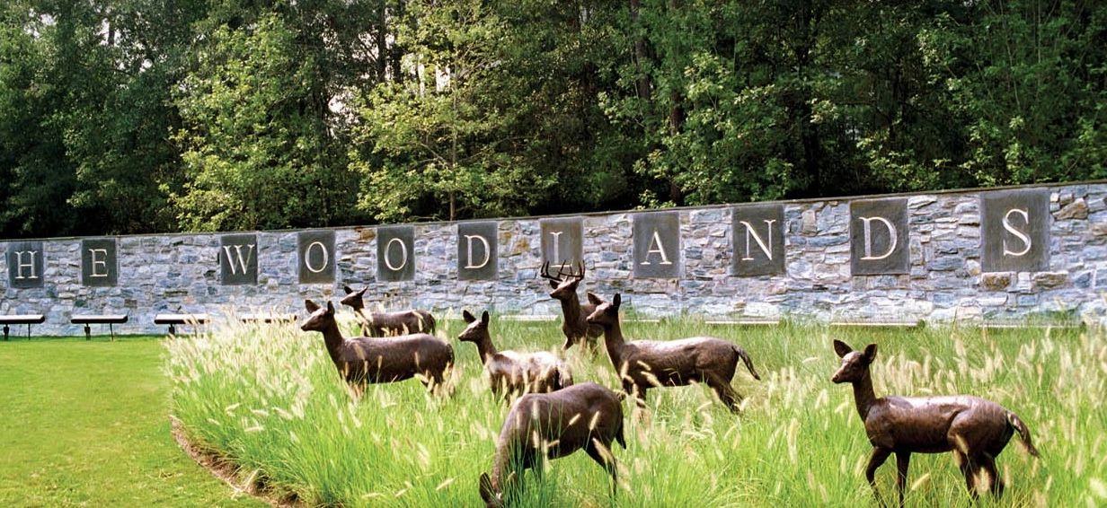 Woodlands Texas sign