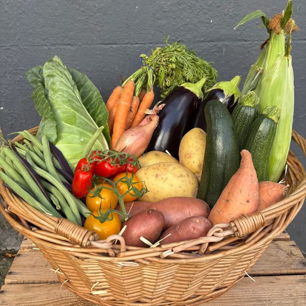 Basket filled with fresh assorted vegetables including carrots, corn, tomatoes, potatoes, and more.