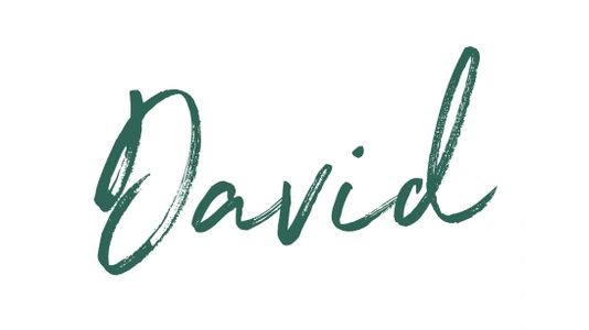 David typography