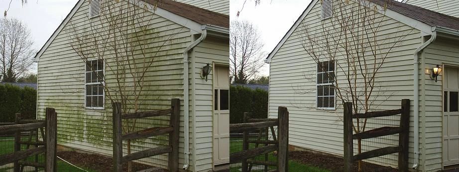 House Wash - Algae Removal