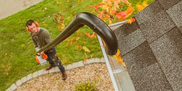 Gutter Cleaning