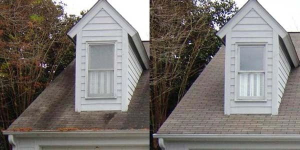 Roof Cleaning