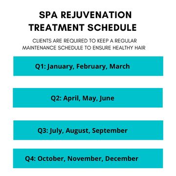 Spa rejuvenation treatment schedule by quarters.