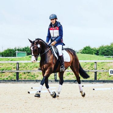 Man riding bay horse in dressage test