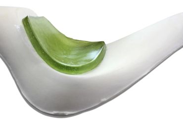 Close-up of a green aloe vera leaf on a white plate.