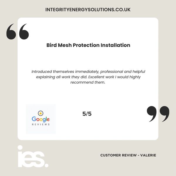 Bird Mesh Protection Installation, Integrity Energy Solutions, Customer Review, Google, Renewables