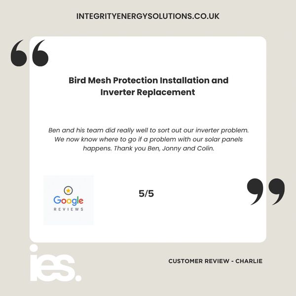 Bird Mesh Protection & Inverter, Integrity  Energy Solutions, Customer Review, Google, Renewables