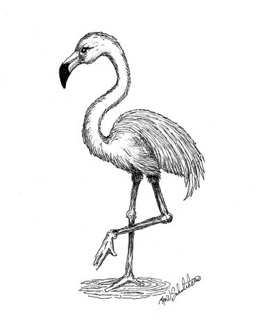 Black and white sketch of a flamingo standing in water.