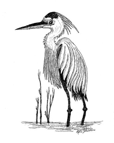 Black and white sketch of a heron standing in water.
