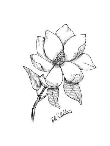 Black and white sketch of a blooming flower with leaves.