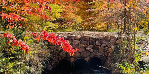 Mountain stream with beautiful autumn trees