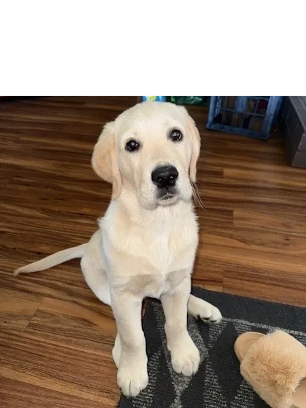 I have no idea what you’re talking about