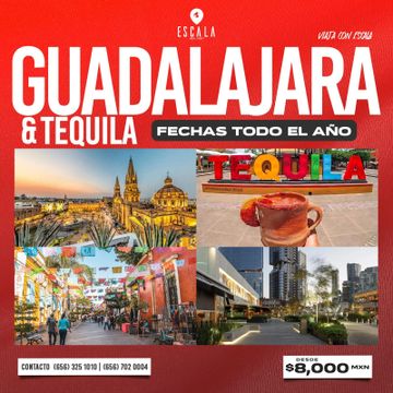 Travel Guadalajara and Tequila year-round with Escala tours starting at $8,000 MXN.