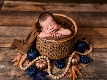 Blaine newborn photographer