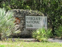 private-everglades-tour-havana-miami-tours-city-tour-miami-sprinter-bus-service-miami-miami-beach
