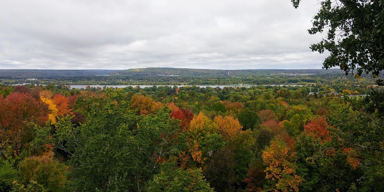 Fredericton from up in the trees 
