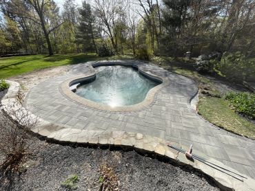 Backyard pool surrounded by trees and greenery.
