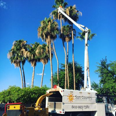 Sun Country Boom Truck Tree Care Services
