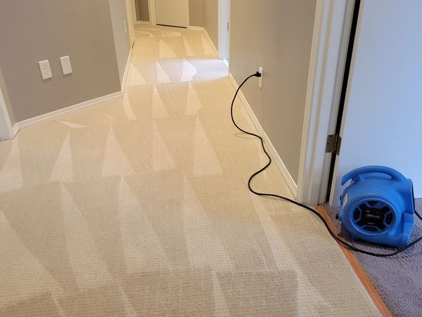 Gresham Carpet Cleaning. Stain removal using our time-tested industry-proven systems and procedures.