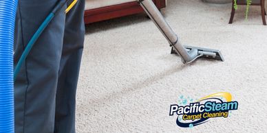 Carpet Cleaning with hot water truck-mount machine in Gresham Oregon. 