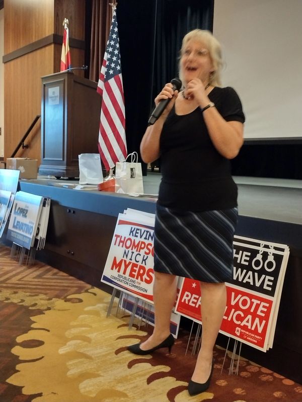 Dana Lewis, Pinal County Recorder