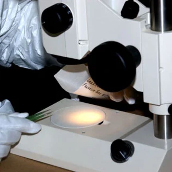FBI examination of one of the anthrax letters; FBI