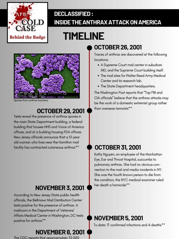 TIMELINE 2
