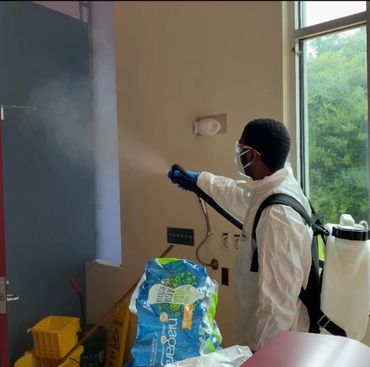 Electrostatic Sanitizing